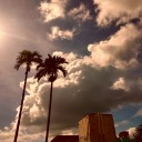 enoughnonesense avatar