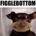 enricheduranium235 avatar