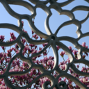 ensembleofsilence avatar