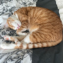 enter-a-clever-name-here avatar