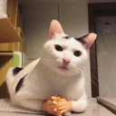 enter-gallactic avatar