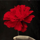 enter-stage-left avatar