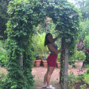 enter-wonderlannnd avatar