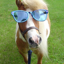 enterscreenname avatar