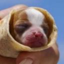 entertainmehples avatar