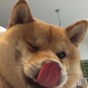 enthusiastic-liya avatar