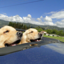 enthusiasticsandwich avatar