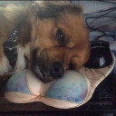 entirelyfvcked avatar