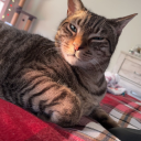 entirelytooobsessed avatar