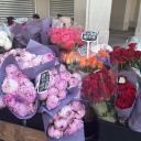 entirelyy-bonkerz avatar