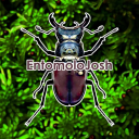 entomolojosh avatar