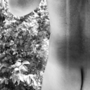 entresembaterfotografia avatar