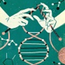 entropia-rising-blog avatar