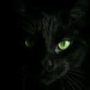 entropia101-blog avatar