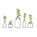 envirxnmental avatar