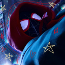 enzogabriel1176 avatar