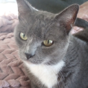 eon-tries-writing avatar