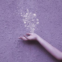 eos-of-the-dawn avatar