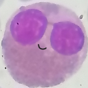 eosinofilopana avatar