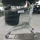 epa-notmyfault-lol-still avatar