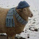 eperfagyiii avatar