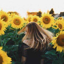 ephemeral--sunflower avatar