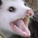 ephemeral-demon avatar