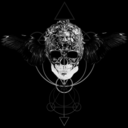 ephemeralcrow avatar