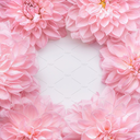 ephemeralfeelings avatar