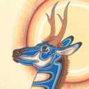 ephemeralpool avatar