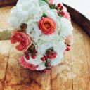 ephemeralsillhouette avatar