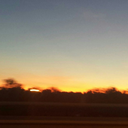 epic-panda-goddess avatar