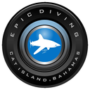 epicdiving avatar