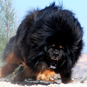 equalismismism avatar