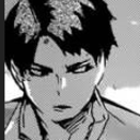 equestrian-equine avatar