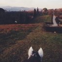 equestrian-na avatar