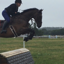 equestrian-perfectionist avatar