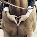 equestrianbreeches avatar