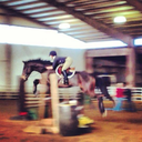 equestrianism-at-its-best-blog avatar