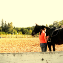 equine-connection avatar