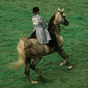 equineartgallery avatar