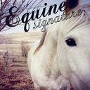 equinesignature avatar