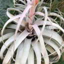 equippedinsight avatar