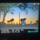 eradicatebees avatar