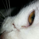 erebus-616-blog avatar