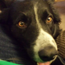 ereptor-tempus avatar