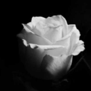 eres-mi-maravilla avatar