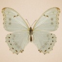 eresmimaravilla2 avatar