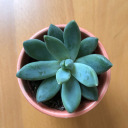 ericajhammond avatar