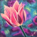 ericasartadventures avatar